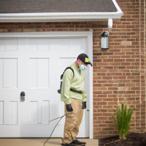 Pest Control Belleville Il